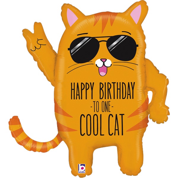 Cool Cat