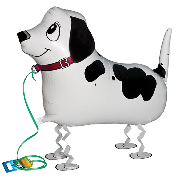 Pointer Air Walker