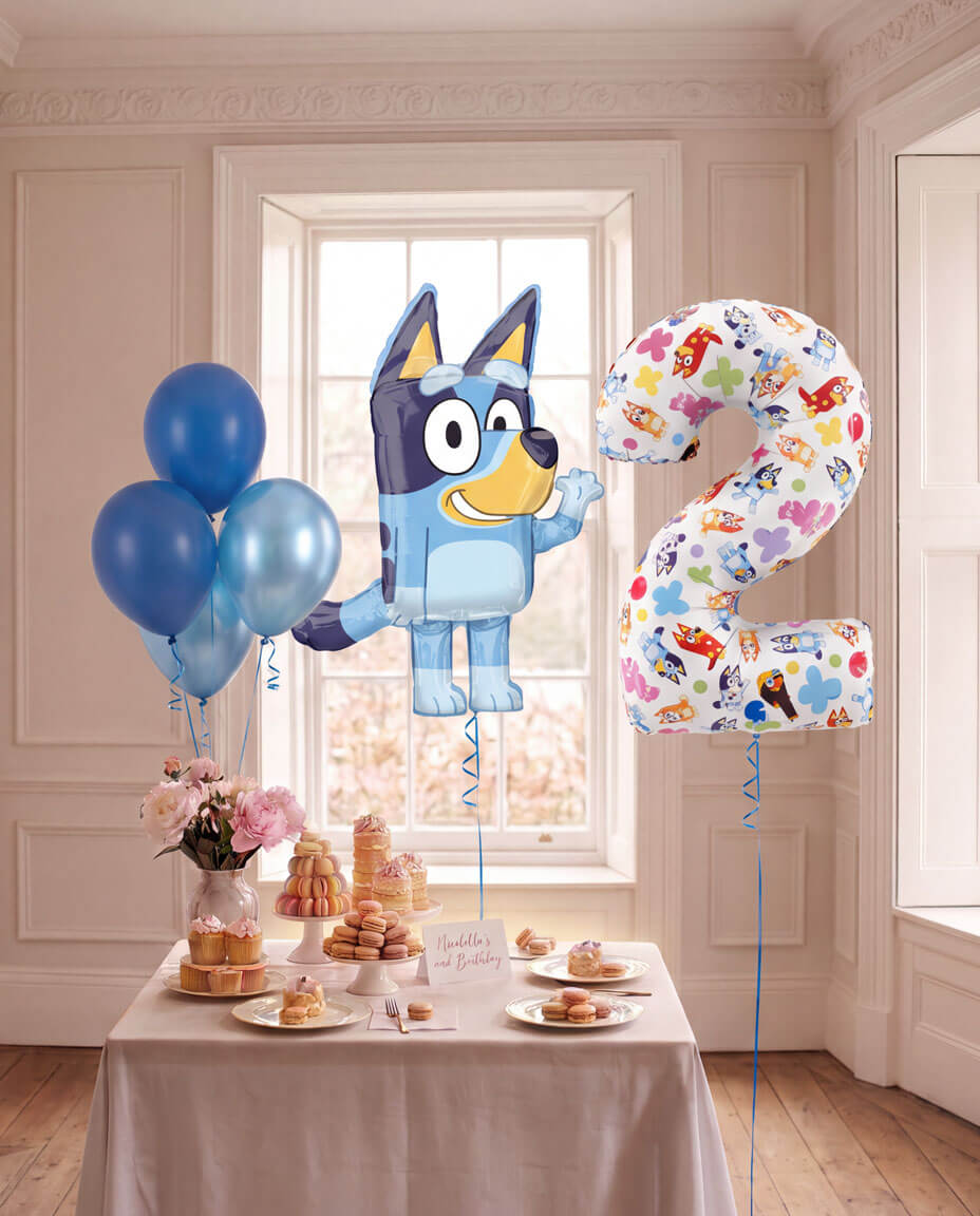Bluey Party Balloons